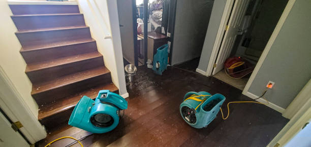 Best Water damage restoration company  in Battle Ground, WA