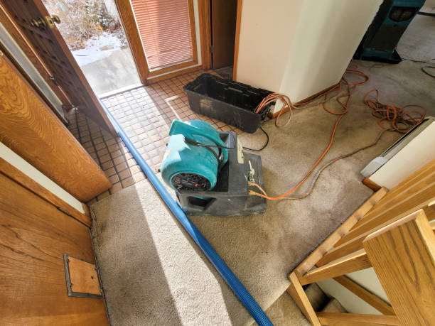 Best Water damage contractors near me  in Battle Ground, WA