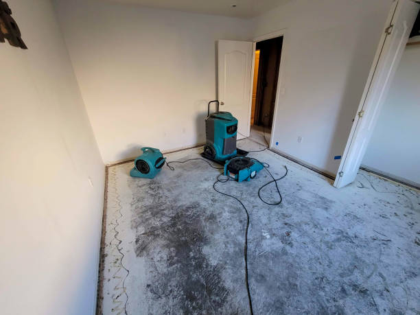 Trusted Battle Ground, WA Water damage restoration Experts
