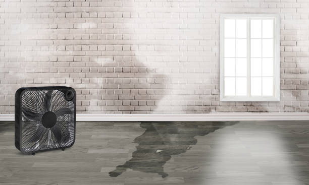 Best Water damage restoration near me  in Battle Ground, WA