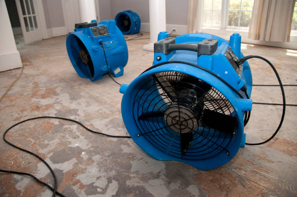 Best Sewage cleanup and water damage restoration  in Battle Ground, WA