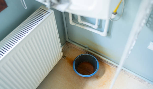 Best Ceiling water damage repair  in Battle Ground, WA