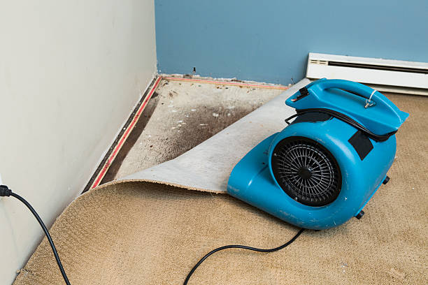 Best Local water damage restoration  in Battle Ground, WA